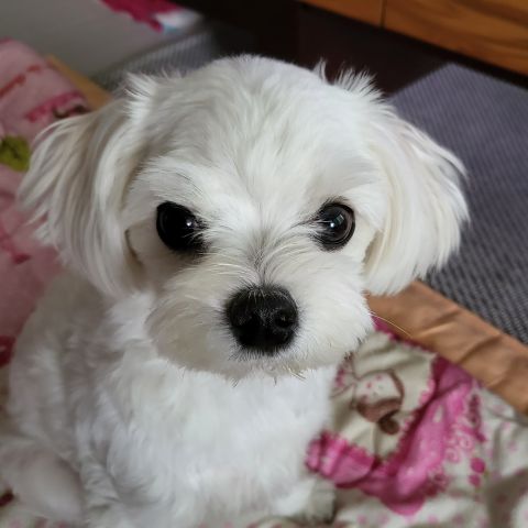 �̹���