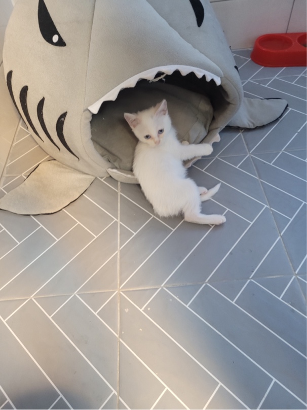 �̹���