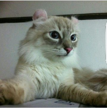 �̹���