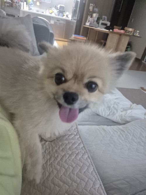 �̹���